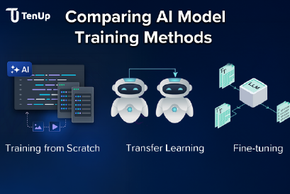 training from scratch vs transfer learning vs fine-tuning