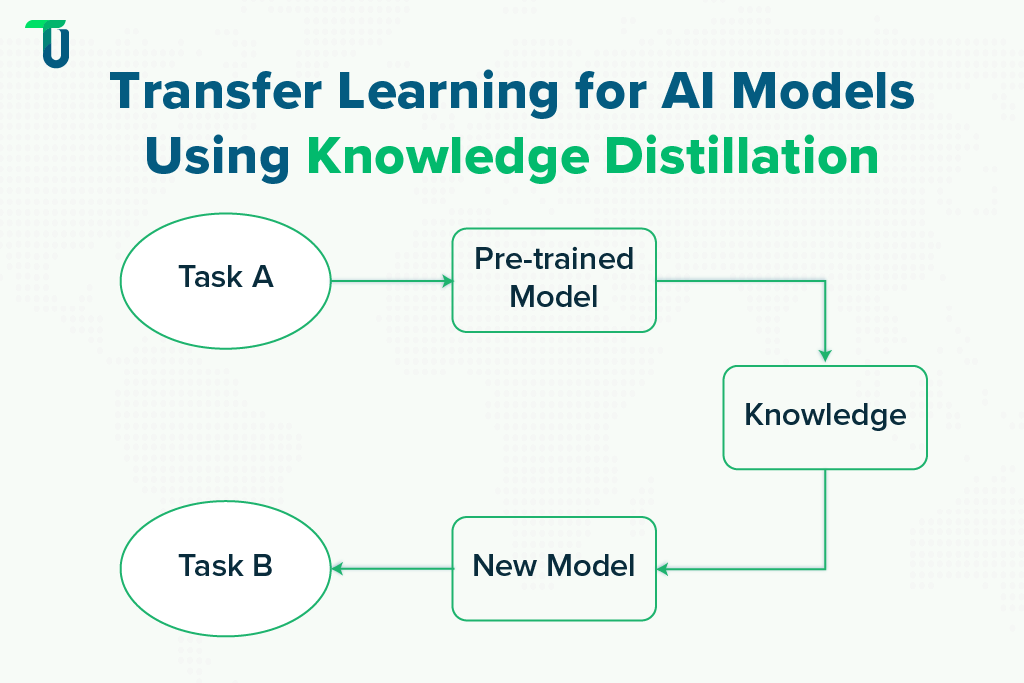 Knowledge Distillation in Transfer Learning