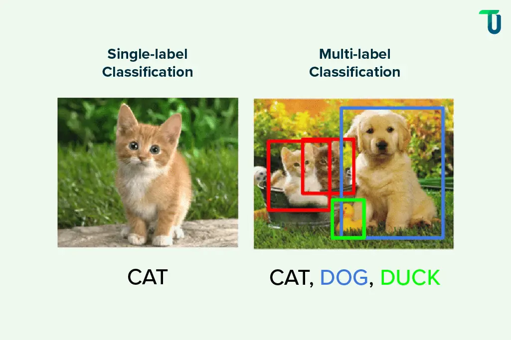 image video data labeling